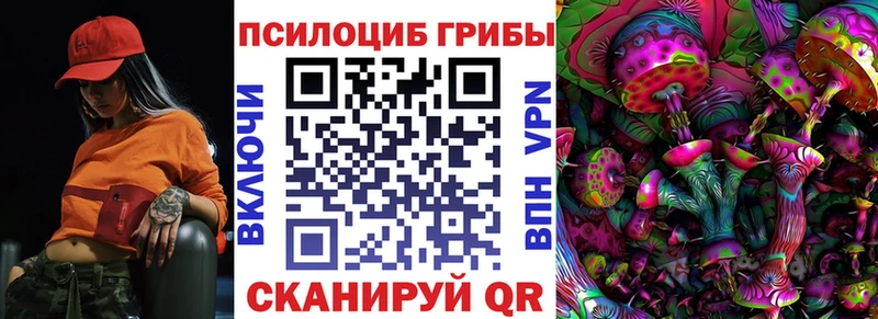 Купить где  Кинель  Галлюциногенные грибы Cubensis 
